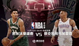 nba 91直播,重温经典赛事，感受篮球魅力”